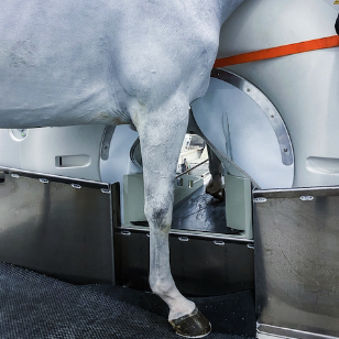 Distal limb CT of the standing horse